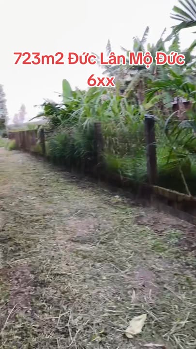 Đất vườn xã Đức Lân, Mộ Đức 723m² - Tiềm năng đầu tư lớn!