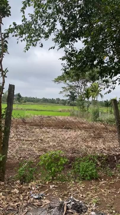 Đất thổ cư Hòa An, Krông Pắc 810m² giá 2 tỷ - Cách trục chính chỉ 50m!