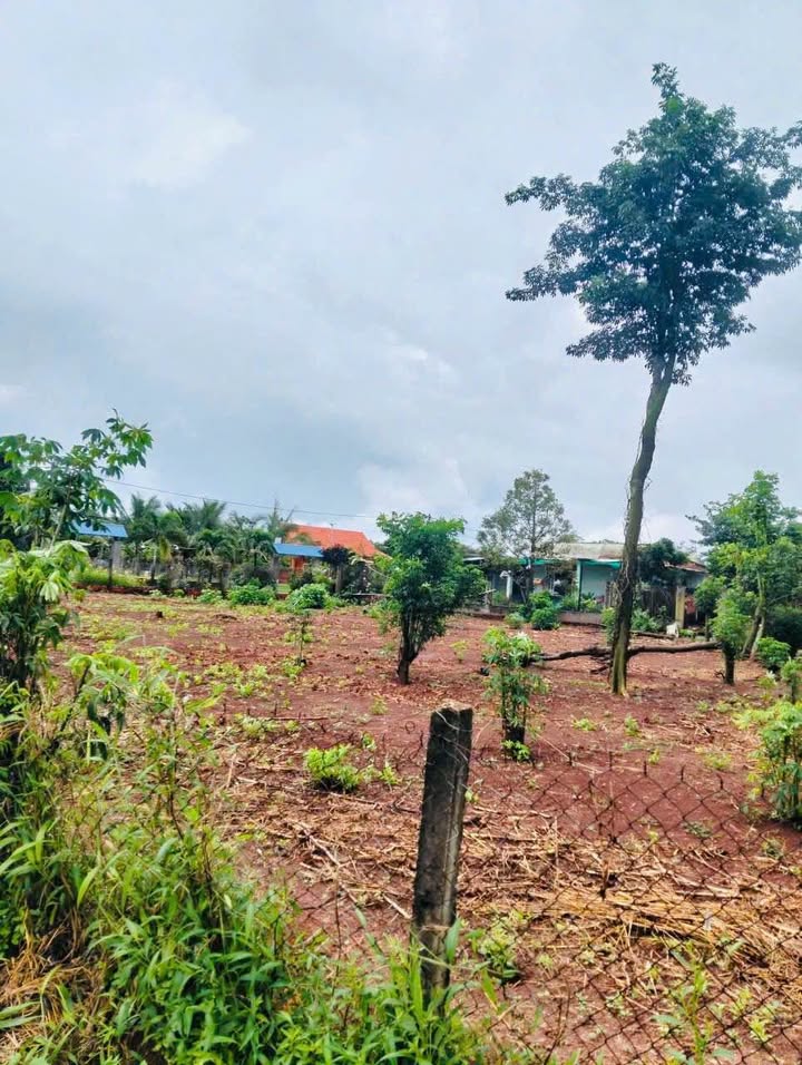 Đất nền Hòa Hưng, Xuyên Mộc, 1080m² chỉ 600 triệu - Cơ hội đầu tư sinh lời!