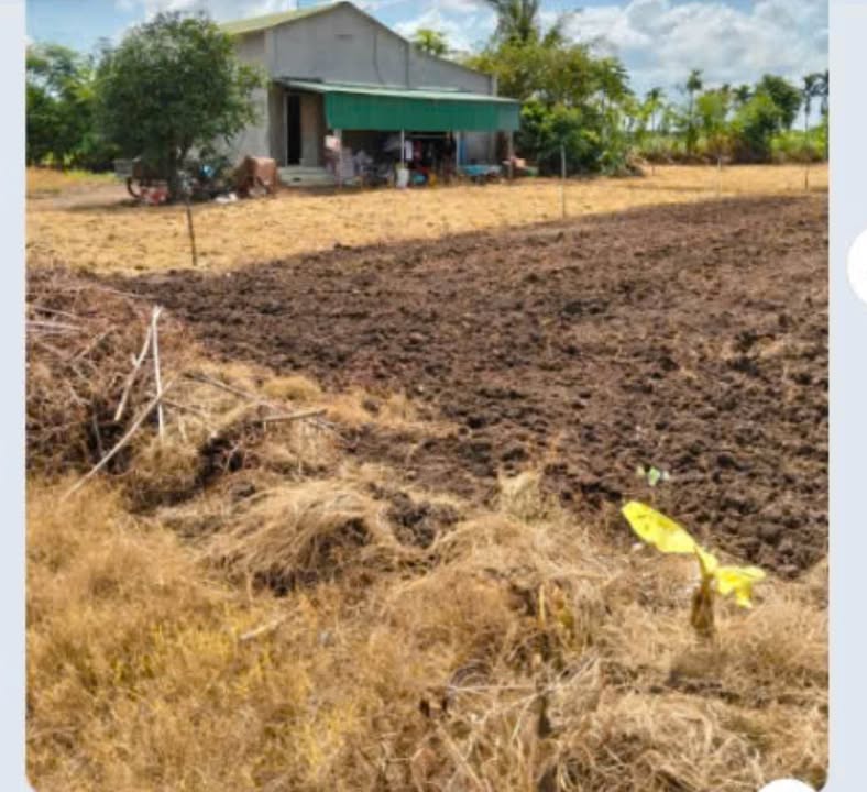 Đất thổ cư Hòa Phú 4800m² giá 2 tỷ - Sổ đỏ chính chủ, bán gấp!