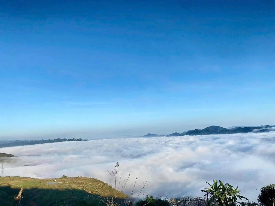 Lô đất Mộc Châu 2500m² giá thỏa thuận - Đầu tư sinh lời ngay!