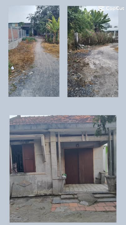 Đất 102m² tại Ấp Bình Tả 1, Đức Hòa Hạ, Long An - Giá chỉ 850 triệu!