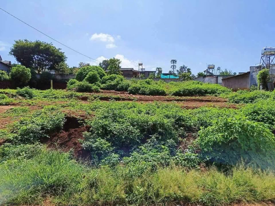 Đất nền Quảng Lập, Đơn Dương 836m² giá 1.65 tỷ - Cơ hội đầu tư tuyệt vời!