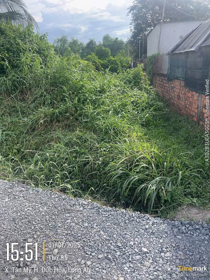 Đất thổ cư Hậu Nghĩa, Đức Hòa 166m² giá 2 tỷ - Sổ hồng riêng chính chủ!