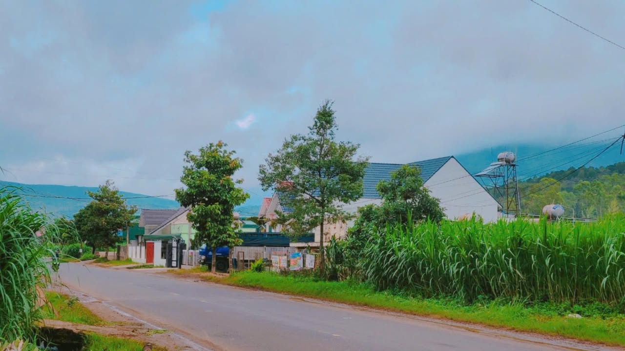 Đất Đạ Ròn 240m² giá 2.3 tỷ - Cơ hội đầu tư sinh lời ngay!