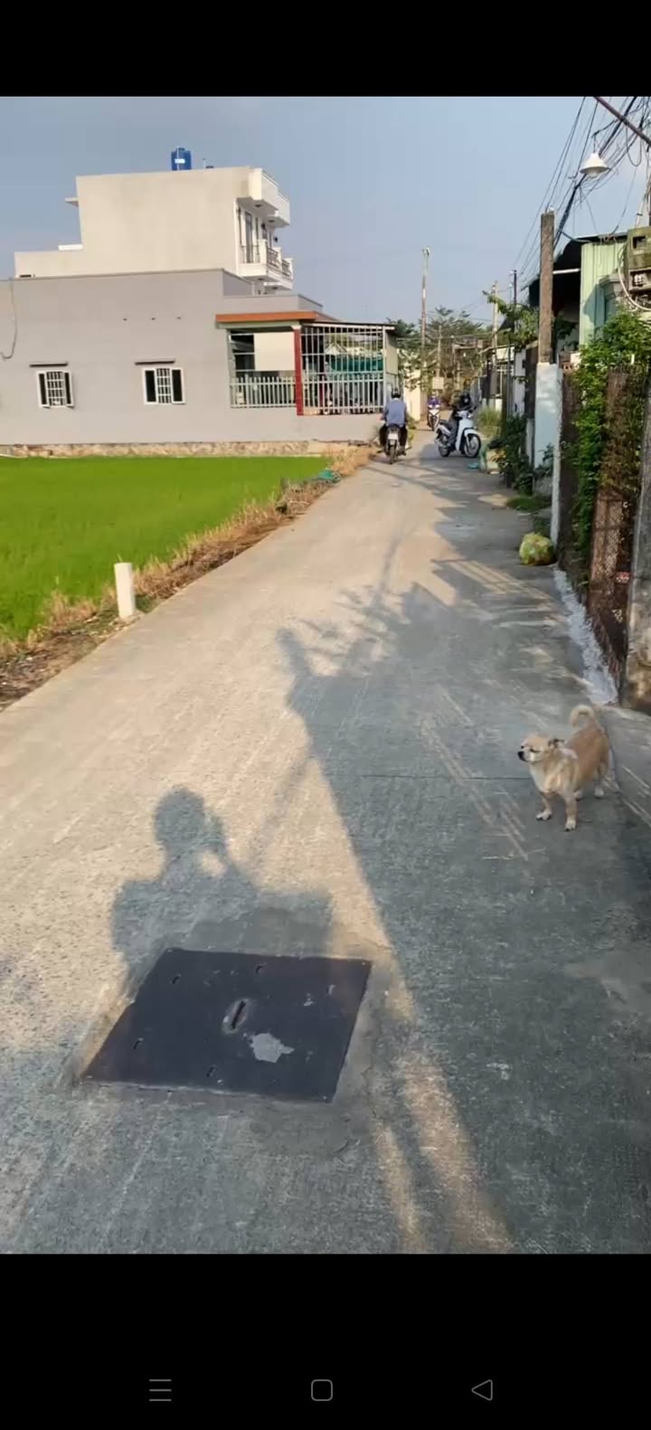 Đất vườn Phước Lý, Cần Giuộc 615m² giá 2.9 tỷ - Đầu tư lý tưởng cho biệt thự!