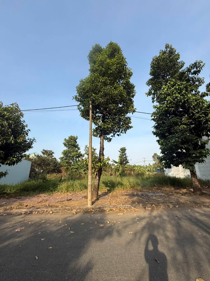 Đất nền KDC Lợi Bình Nhơn, Tân An, 64m² giá 1.2 tỷ - Cơ hội đầu tư hấp dẫn!