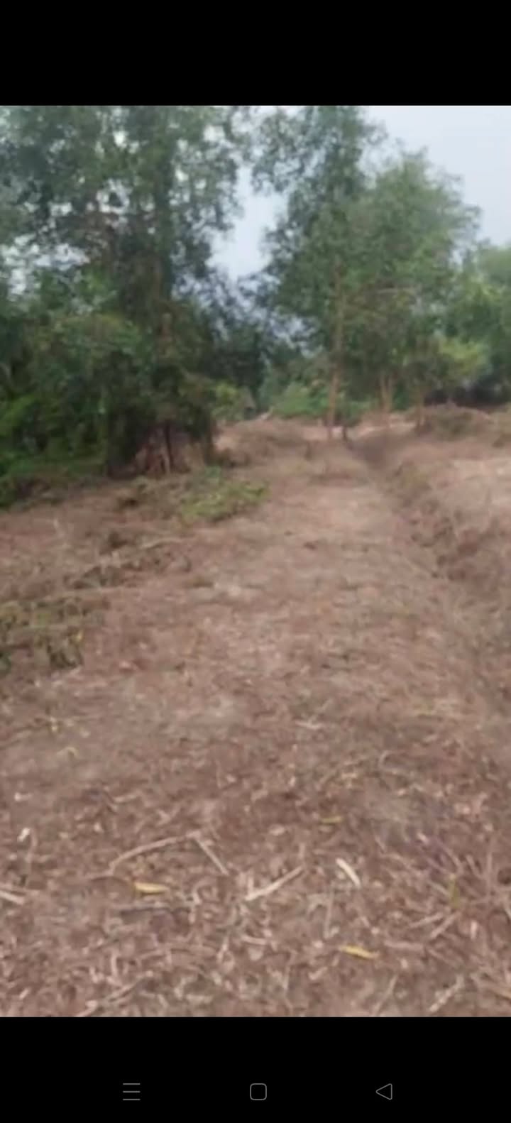 Đất thổ vườn ấp 2, xã Bình Hòa Nam, Đức Huệ 3618m² giá 3.8 tỷ - Cơ hội đầu tư tuyệt vời!