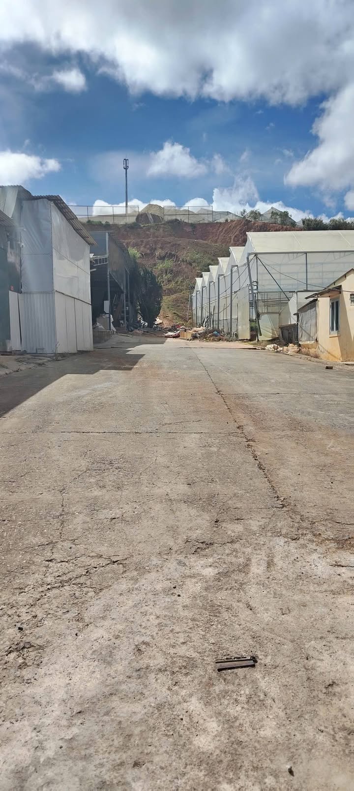 Đất nền Đa Phú, Đà Lạt 1000m² giá chỉ 5 triệu/m² - View đẹp tuyệt vời!