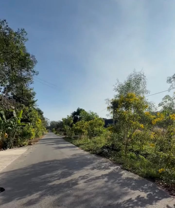 Đất nền Long Nguyên Bàu Bàng 250m² giá 1.1 tỷ - Gần trường học và chợ!