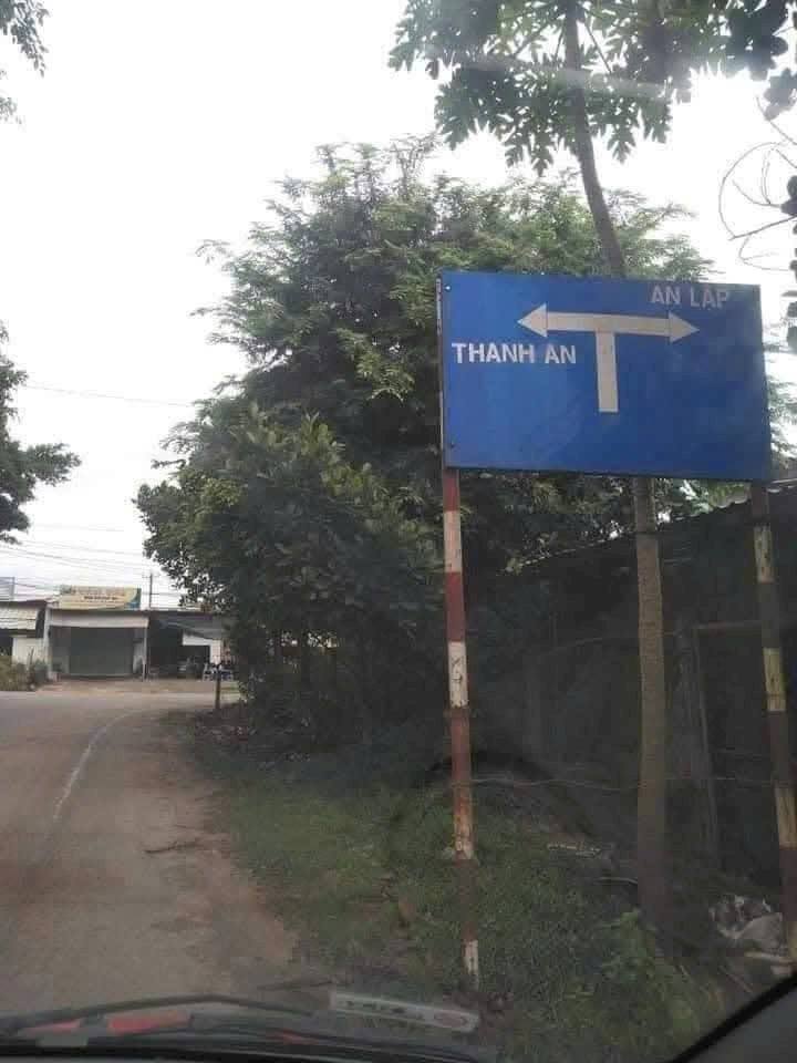 Đất mặt tiền nhựa 11250m² tại Thanh Tuyền, Dầu Tiếng - Giá chỉ 160 triệu/m ngang!