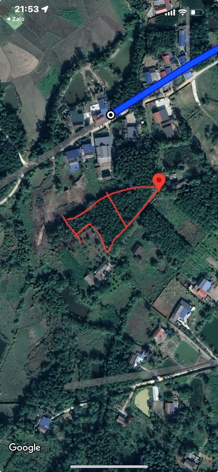 Đất nền Cát Nê Đại Từ 2500m² giá 2.25 tỷ - Cơ hội đầu tư hấp dẫn!