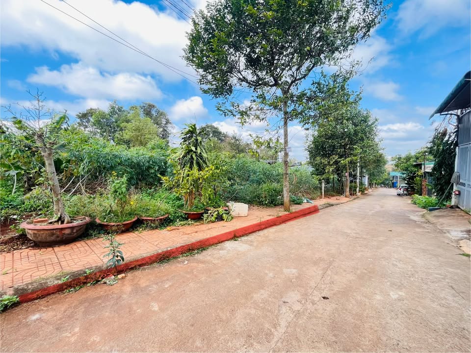 Đất nền thổ cư phường Eakao 90m² giá 1.65 tỷ - Đường 19/5, vị trí đẹp!