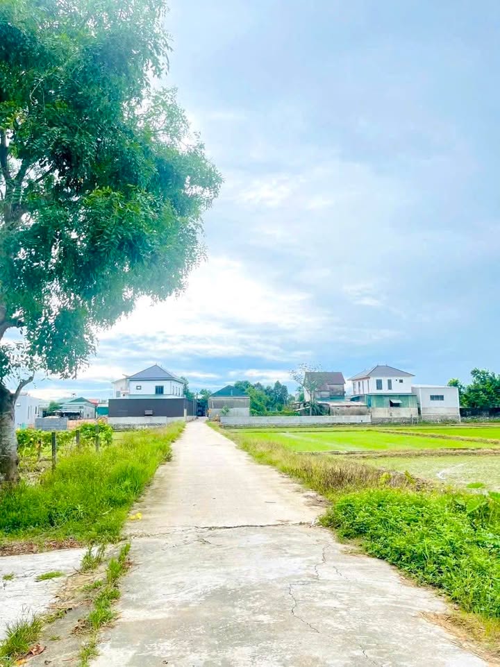 Đất nền tổ dân phố Tân Hòa, phường Hà Huy Tập 121m² giá 800 triệu - Đầu tư sinh lời ngay!