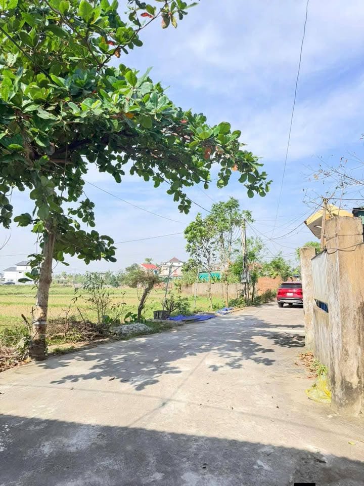 Đất thổ cư Thạch Đài 101m² giá chỉ 120 triệu - Đường to rộng, dân cư đông đúc!