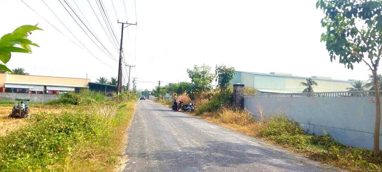 Đất nông nghiệp 1056m² tại Hướng Thọ Phú, Tân An - Giá chỉ 2.1 tỷ VND