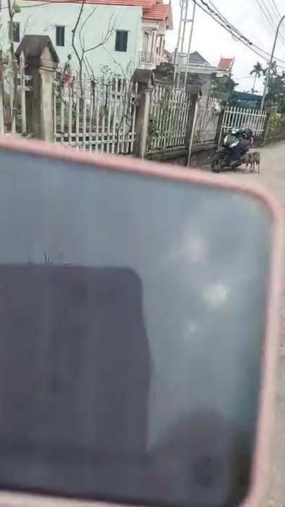 Đất nền Ninh Cường, Trực Ninh 400m² - Giá thỏa thuận, vị trí trung tâm