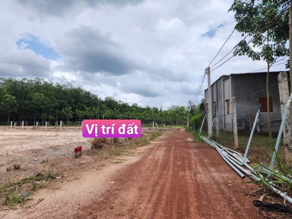 Đất nền xã Minh Thạnh, Dầu Tiếng 185m² - Sổ hồng riêng, giá tốt!