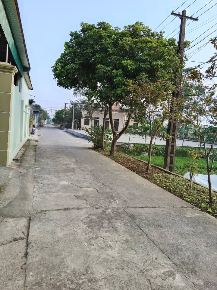 Đất thổ cư Quảng Tâm 110m² giá chỉ 1 tỷ - Cơ hội đầu tư tuyệt vời!