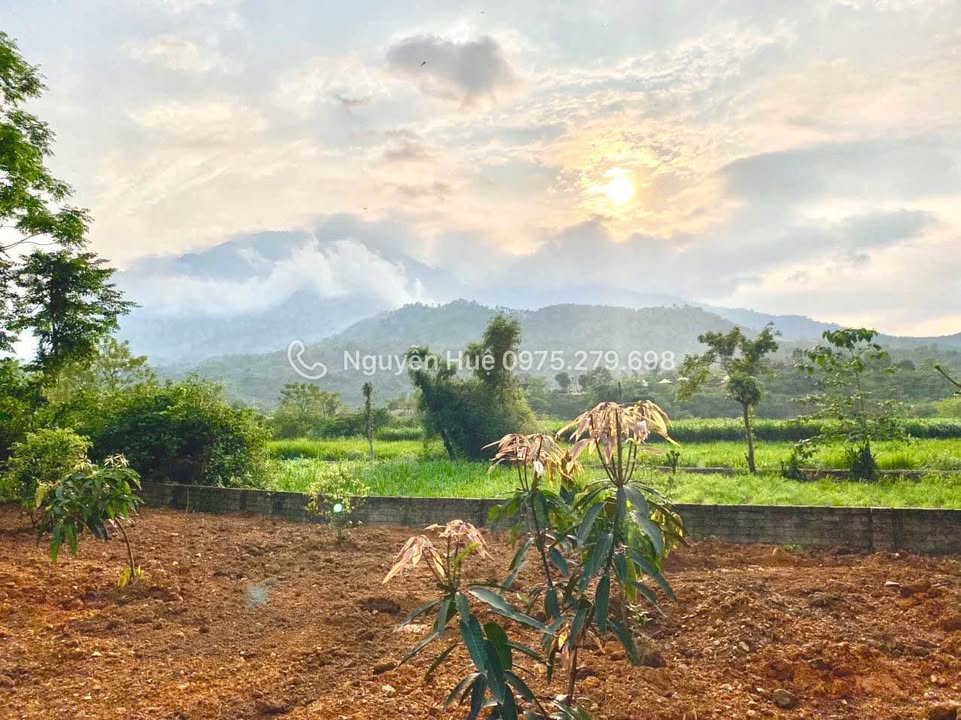 Đất thổ cư 200m² tại Yên Bài, Ba Vì 1535m² giá chỉ 5 triệu/m² - Pháp lý rõ ràng!