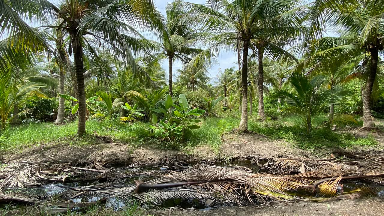 Đất nền Hữu Định, Châu Thành, Bến Tre 500m² giá 500 triệu - Cơ hội đầu tư tuyệt vời!