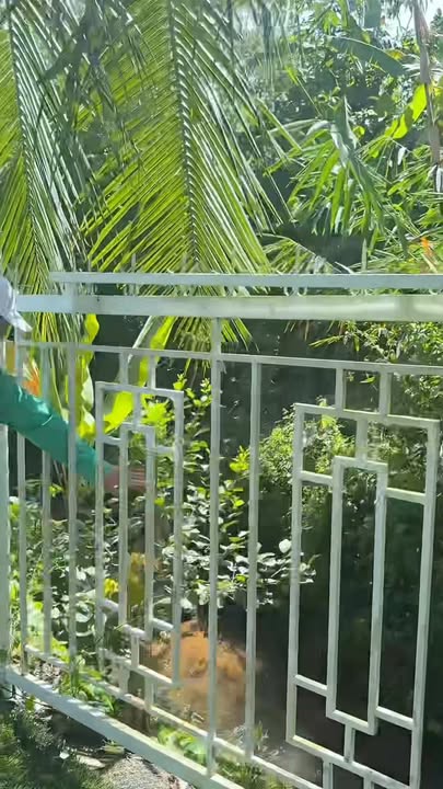 Farm 79 Garden Định Quán Đồng Nai 7000m² giá 42 tỷ - Cơ hội đầu tư lý tưởng!