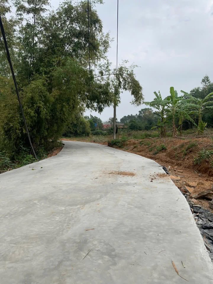 Đất nền Đồng Việt, Bắc Giang 103m² giá thỏa thuận - Lô góc đẹp, tiện ích hoàn hảo!