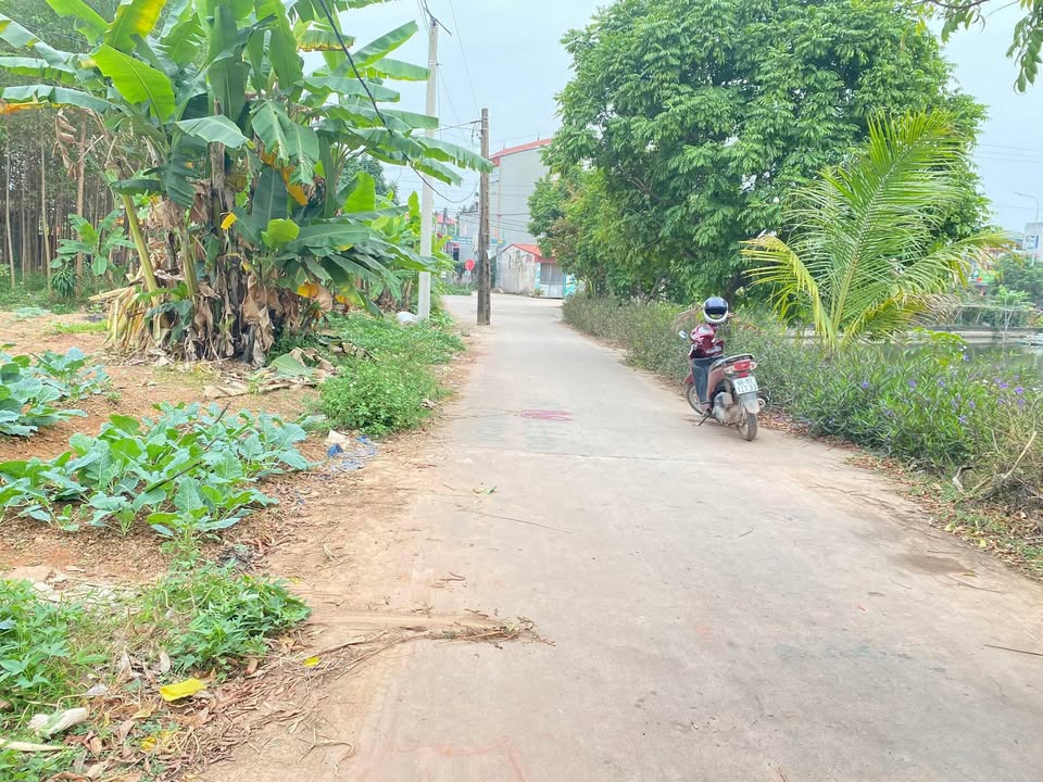 Đất đấu giá An Hà Bắc Giang 100m² - Kinh doanh sầm uất, nhìn hồ điều hòa!