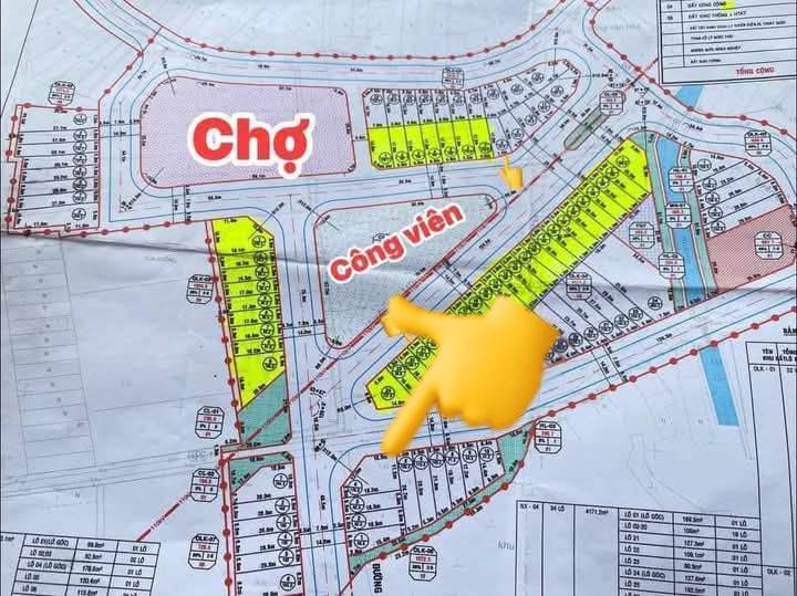 Đất nền Phước Lộc, Tuy Phước 176m² giá 1.8 tỷ - Lô góc cận chợ, thuận lợi kinh doanh!