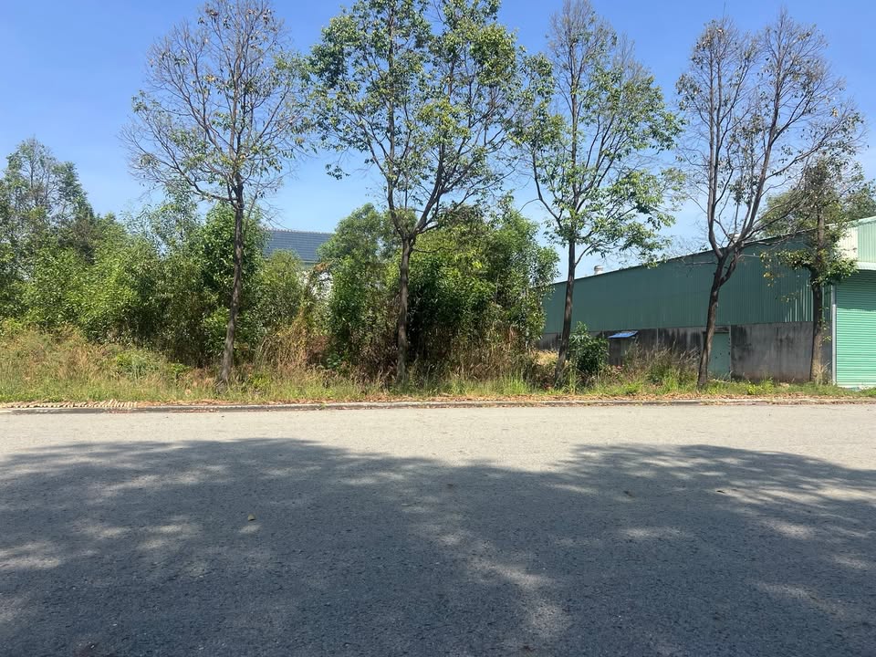 Đất nền Thới Hòa Bến Cát 140m² giá 2.1 tỷ - Đầu tư sinh lời ngay!