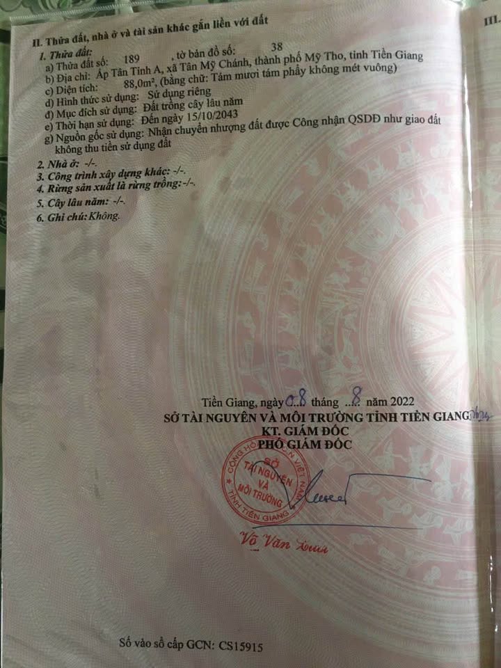 Đất nền Ấp Phong Thuận, xã Tân Mỹ Chánh 89m² giá 450 triệu - Cơ hội đầu tư tuyệt vời!