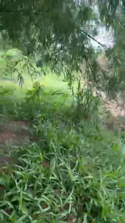 Đất An Cơ, Châu Thành, Tây Ninh 1400m² giá 330 triệu - Phù hợp lập vườn!