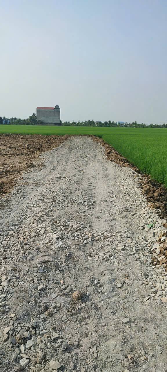 Đất nền Tân Đông, Gò Công Đông 270m² giá 200 triệu - Sổ đỏ chính chủ, dễ công chứng ngay!