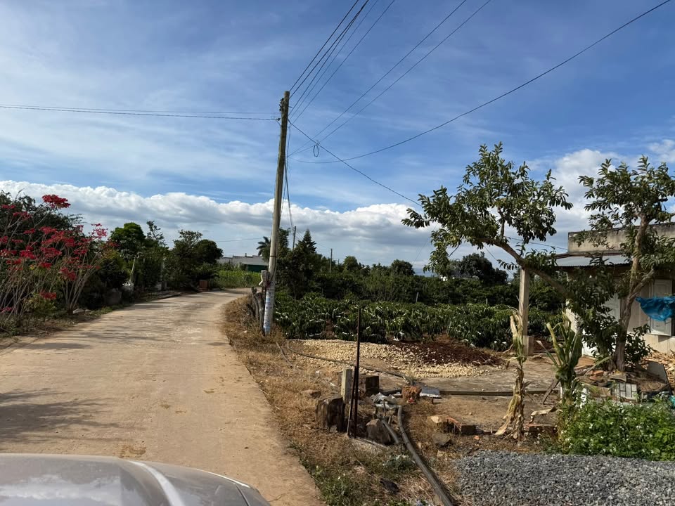 Đất nền Đức Trọng 125m² giá 499 triệu - Cơ hội đầu tư tuyệt vời!