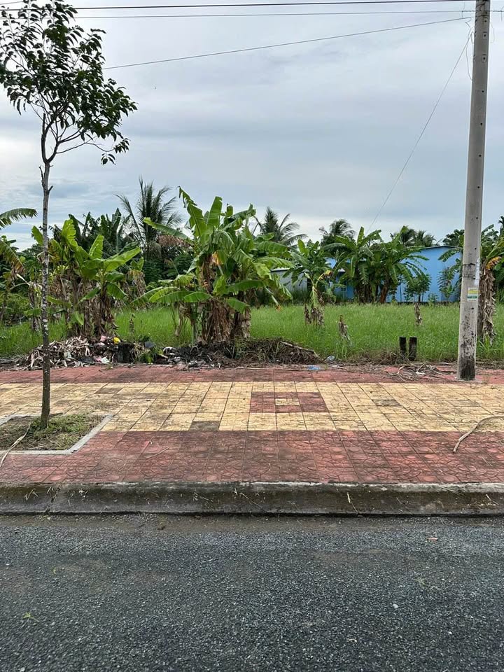 Bán đất nền đường Số 7, phường Vị Tân, TP. Vị Thanh 115m² - Vị trí đắc địa gần trường học!