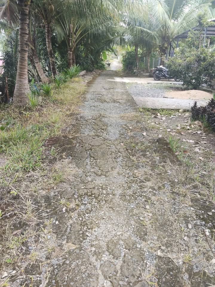 Đất nền 13000m² tại Phương Bình, Phụng Hiệp - Giá chỉ 1.69 tỷ VND!