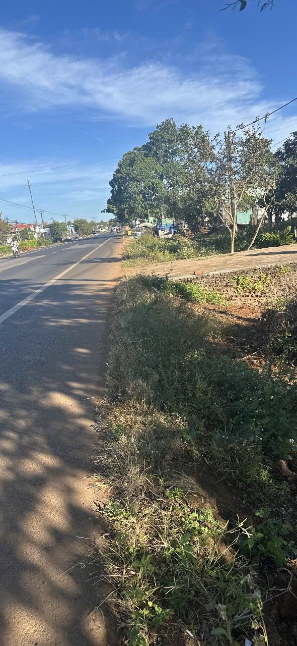 Đất mặt tiền Quốc lộ 14, xã Ia Băng, huyện Chư Prông 600m² giá 2.8 tỷ - Đầu tư sinh lời ngay!