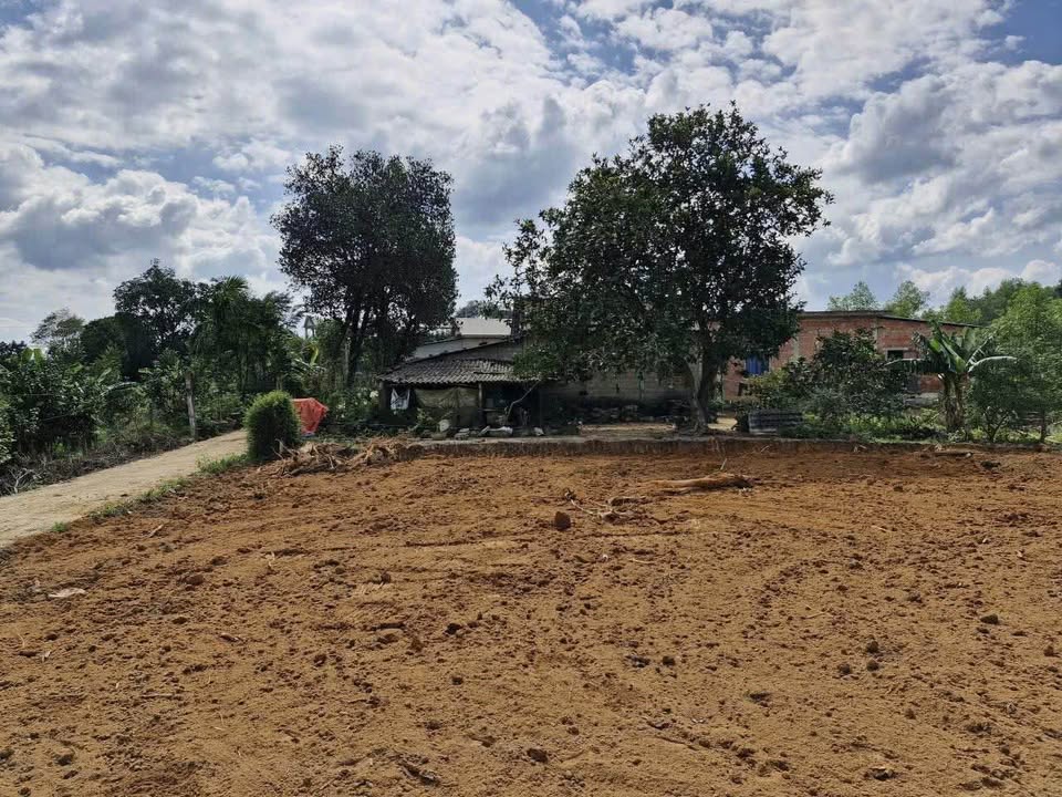 Đất nền Hương Bình, Bình Điền 150m² giá 200-300 triệu - Cơ hội đầu tư hiếm có!