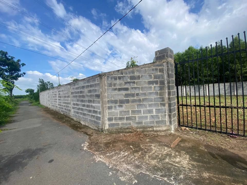 Đất nền Long Tân 550m² giá 2.8 tỷ - Sổ đỏ chính chủ, thu hút đầu tư!