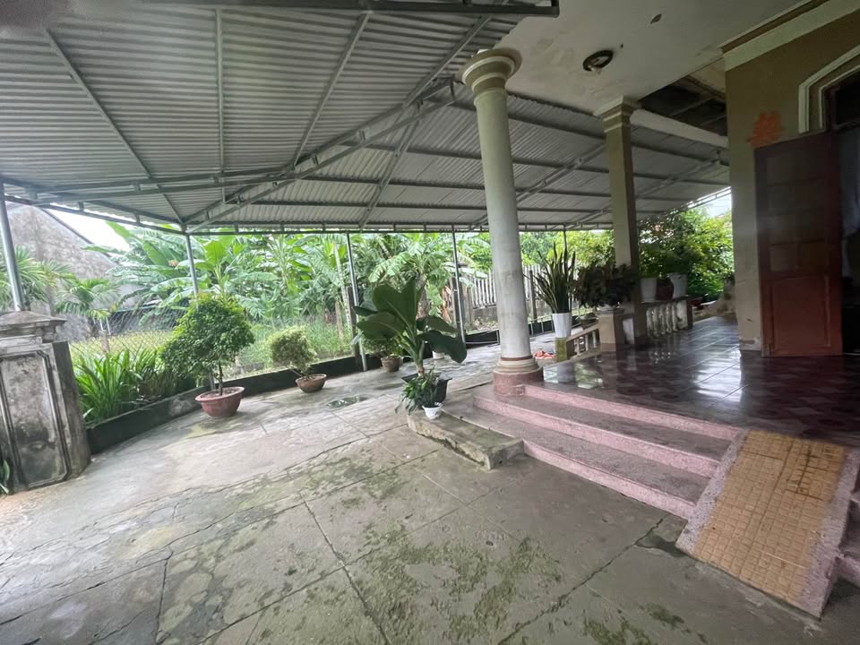 Nhà vườn Quảng Ngãi 500m² giá siêu tốt - Gặp chủ trực tiếp!