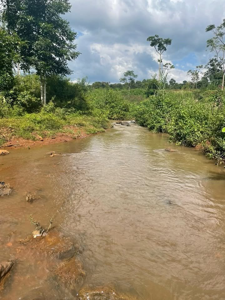 Đất nền Cư Bao Buôn Hồ 6,1 sào giá 2,2 tỷ - Mặt tiền rộng 130m