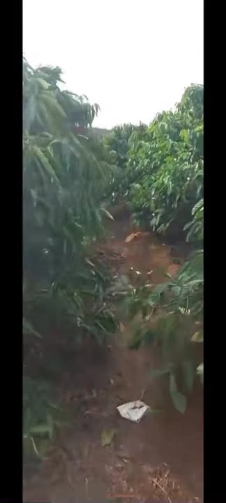 Đất Farm 21600m² tại Ea Ral, Đắk Lắk - Kinh doanh ngay, giá chỉ 1.32 tỷ!