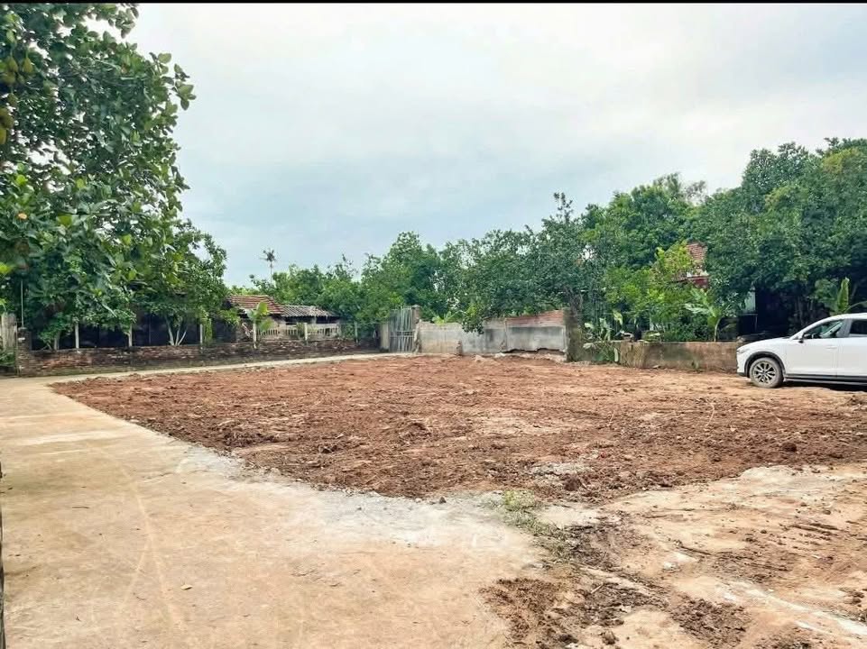 Đất nền Chân Lý, Lý Nhân, Hà Nam 406m² - Cần thanh khoản nhanh!