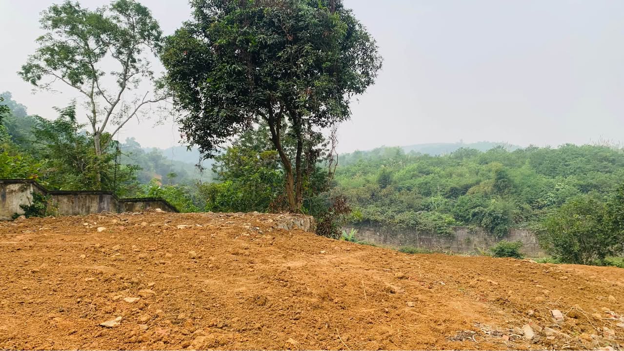 Đất nền Cư Yên Lương Sơn 2100m² giá 6.3 tỷ - Cơ hội đầu tư tuyệt vời!