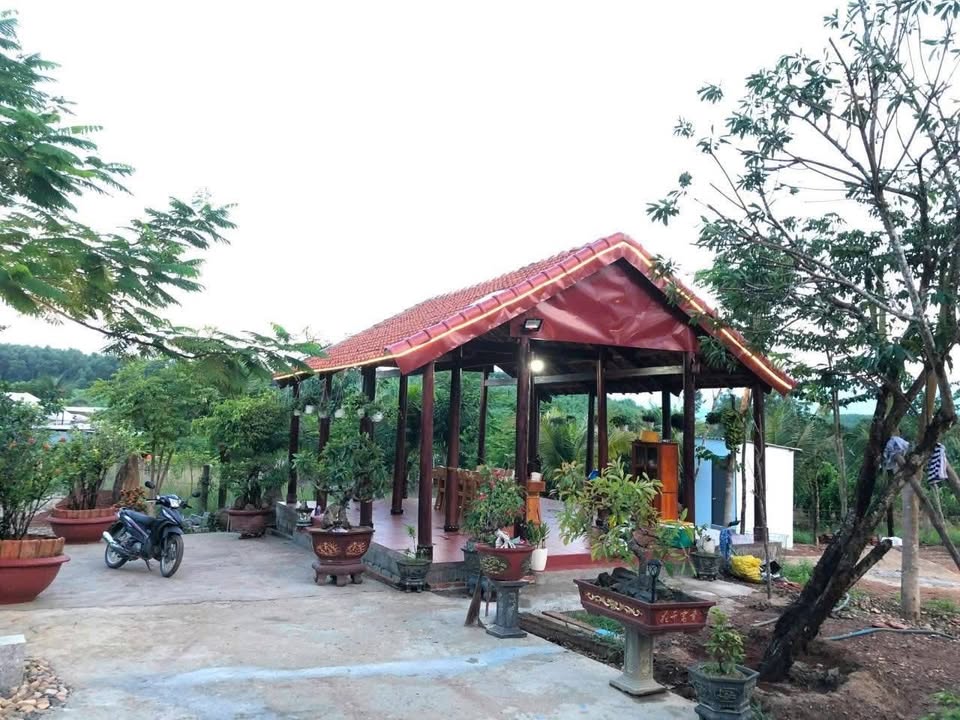 Farm Diên Xuân - Diên Khánh 1864m² giá 1.95 tỷ - Để lại toàn bộ nội thất