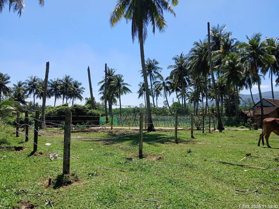 Đất nền lô góc thôn Trinh Vân Bắc, xã Mỹ Trinh, 170m² giá 220 triệu - Cần bán gấp!