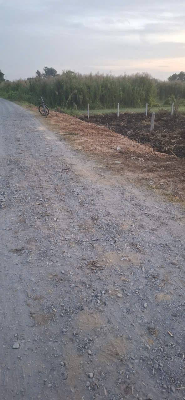 Đất nền Bình Mỹ Củ Chi 550m² - Mặt tiền kênh xanh, giá cực tốt!