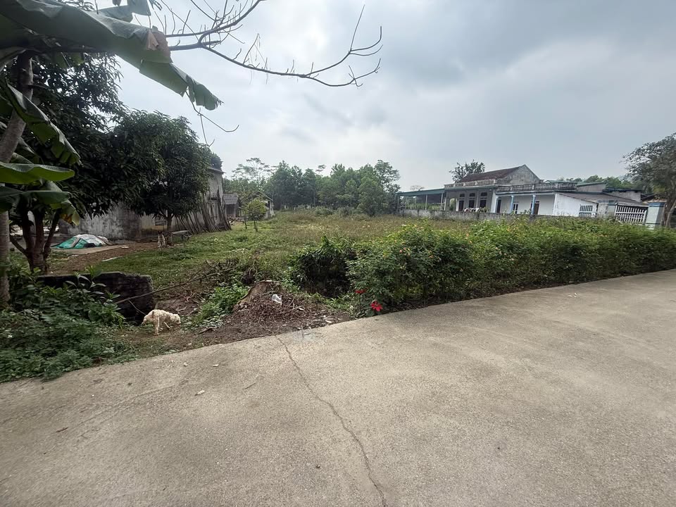 Đất nền Cự Đồng, Thanh Sơn 420m² - Thế đất đẹp, dễ xây dựng!