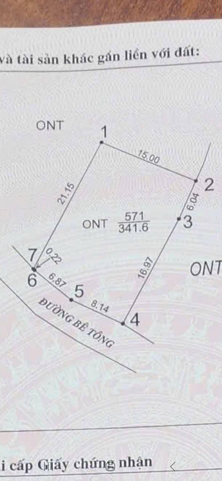 Đất thổ cư Tân Phương, Thanh Thủy 200m² - Đầu tư sinh lời hấp dẫn!