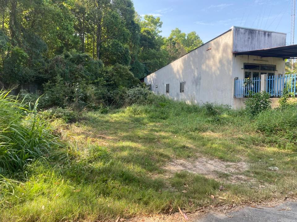 Đất nền 125m² Tân An Hội, Củ Chi giá 1.7 tỷ - Đầu tư sinh lời ngay!